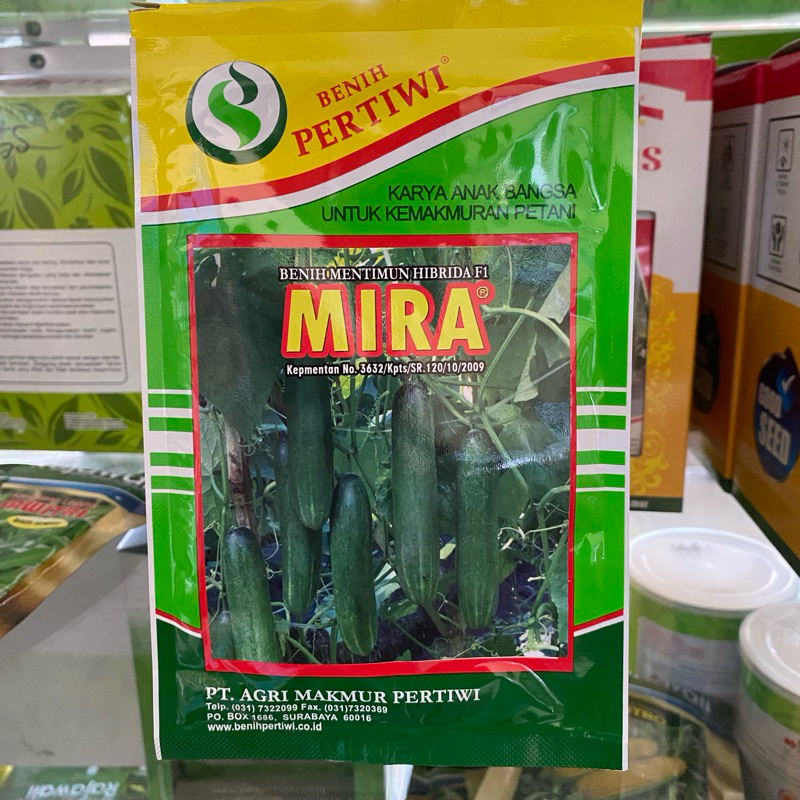 Bibit Timun Mentimun Hibrida F1 Mira Benih Pertiwi Isi 25g