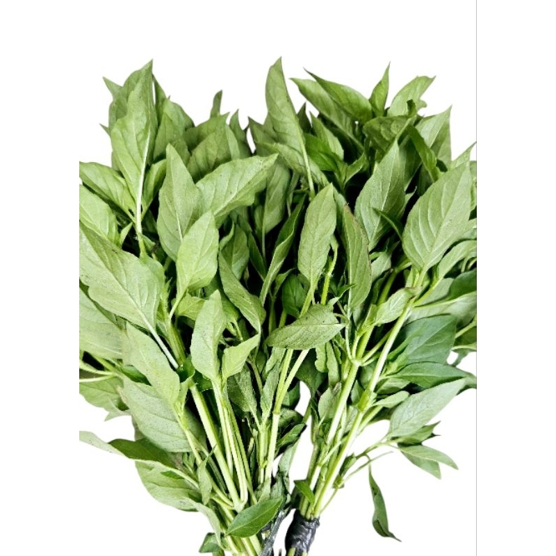 

Daun kemangi Segar Perikat 25gr