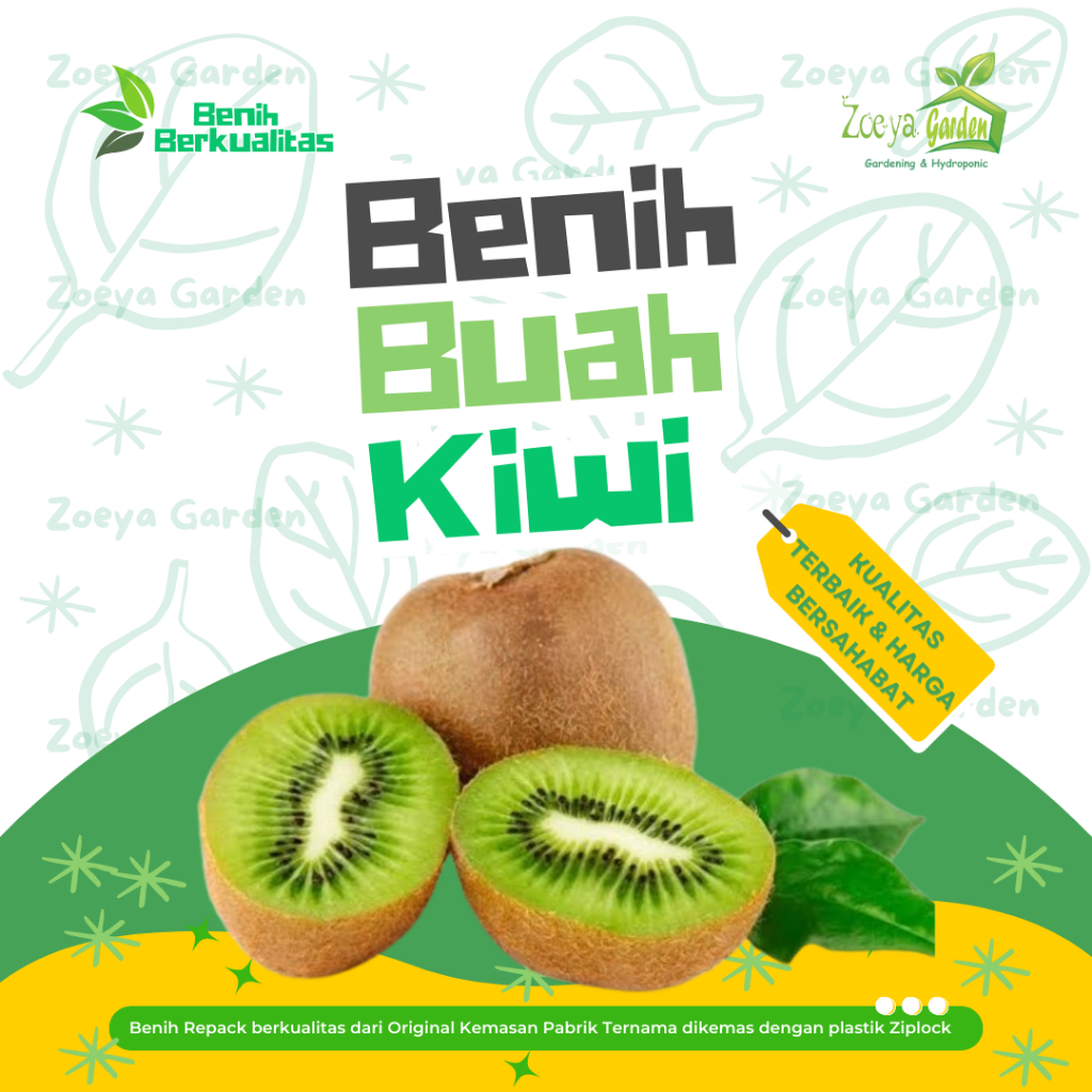 Biji /  Seed / Bibit / Benih Kiwi / Buah Kiwi