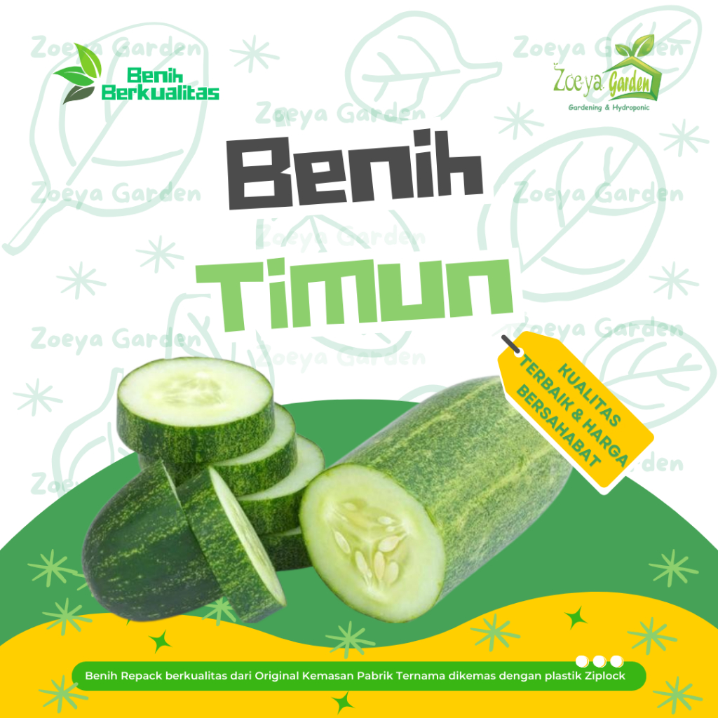 Biji /  Seed / Bibit / Benih Mentimun / Ketimun / Timun F1