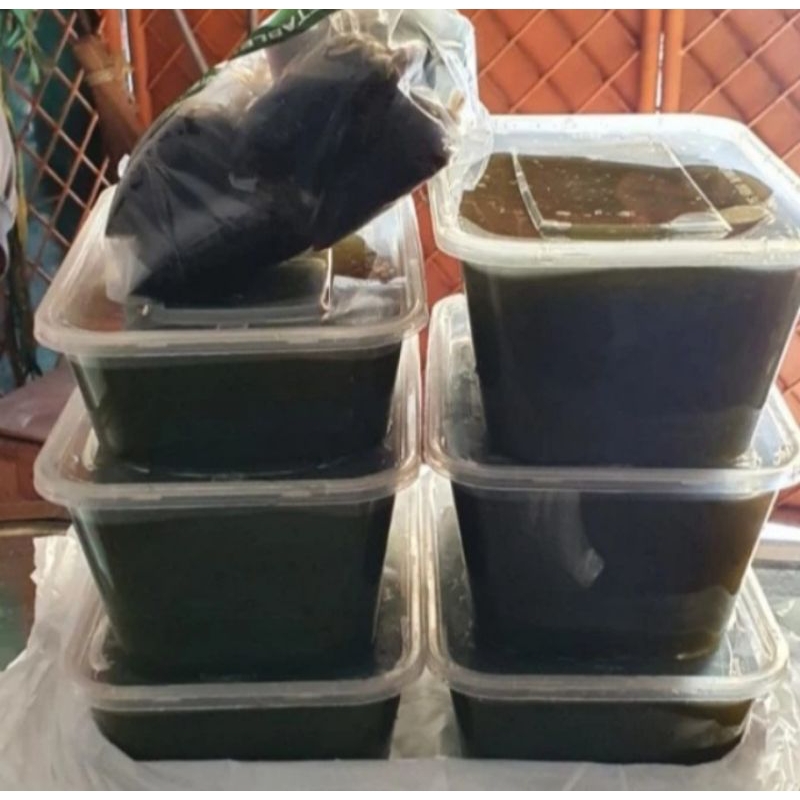 

CINCAU HIJAU ORGANIK PAKET 5 PCS