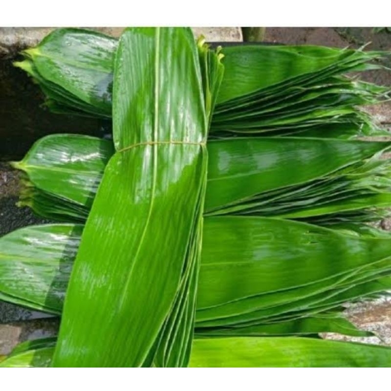

Daun bambu segar bungkus bacang 50 lembar 4/5 jari