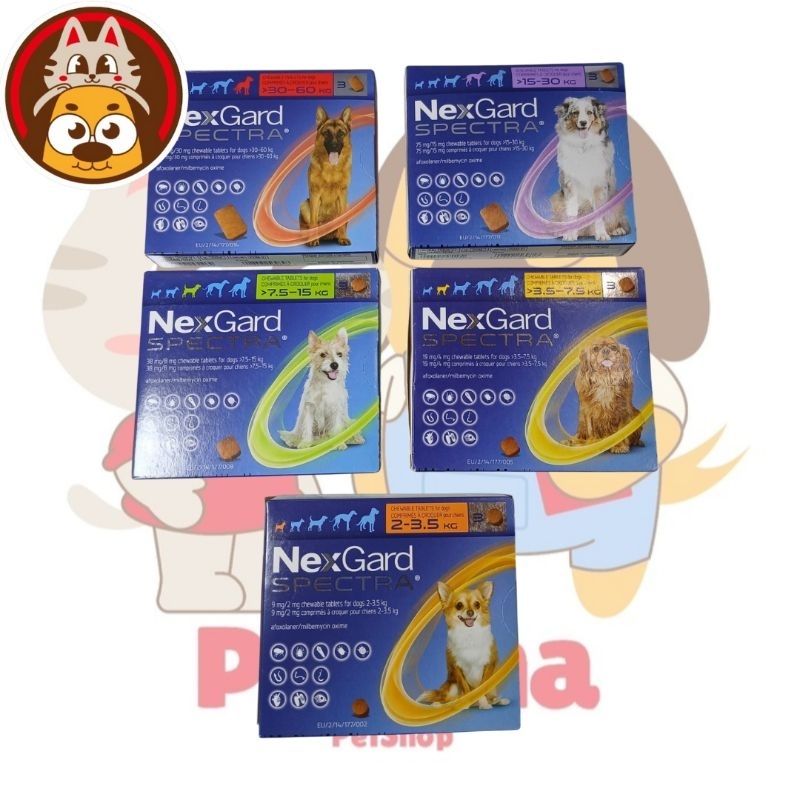 NEXGARD SPECTRA OBAT KUTU DAN CACING DOG