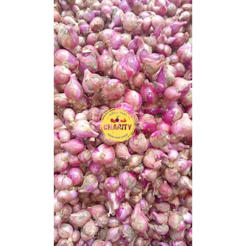 

Bawang Merah 1kg harga murah