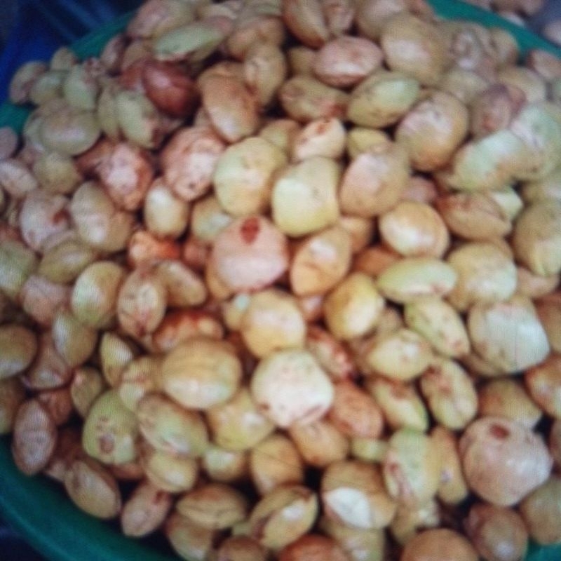 

jengkol muda 500gr