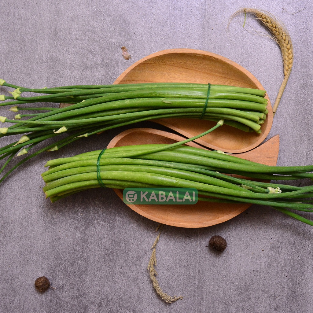 

Bunga Bawang Fresh 1 Ikat - Bawang T0mbak - Kabalai
