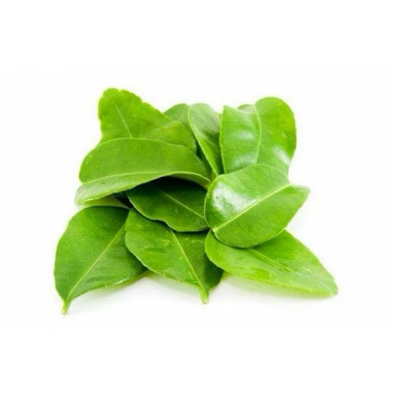 

daun jeruk nipis segar per pack