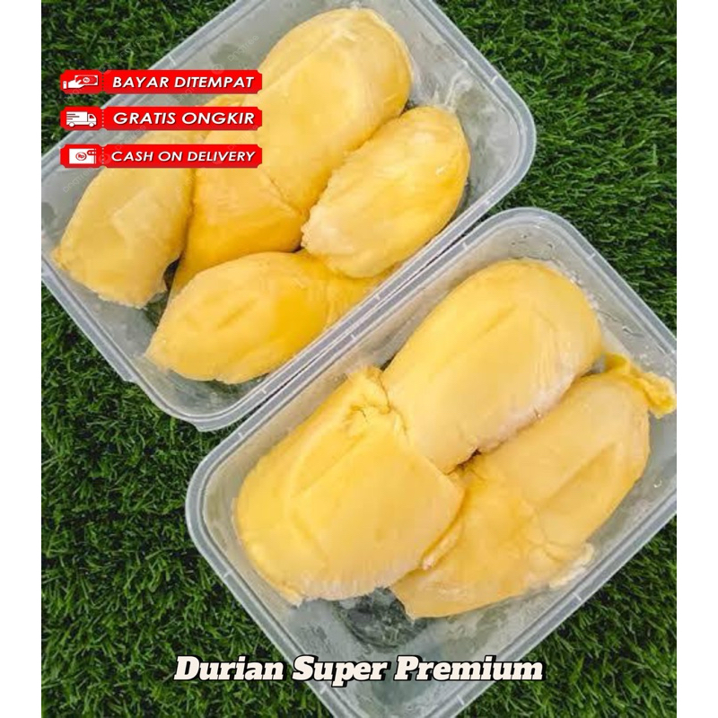 

Durian Manis Legit Durian Kupas Premium Durian Kupas Super