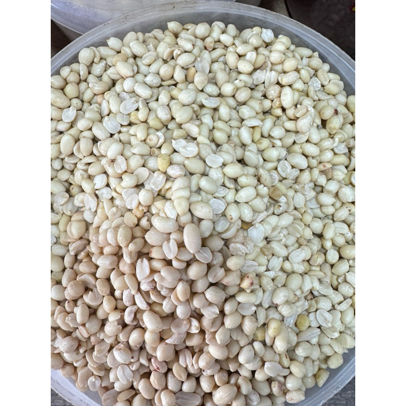

Kacang Tanah