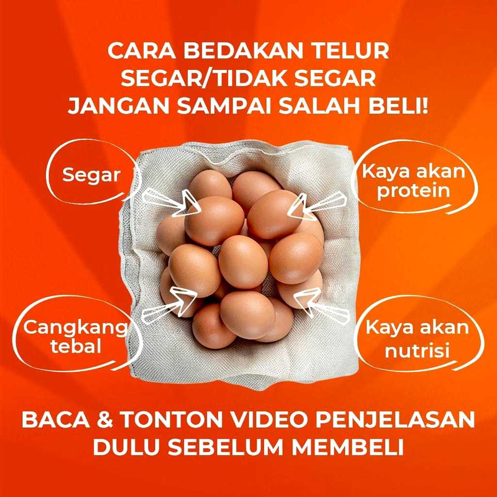 

Telur Ayam omega 3 premium kualitas terbaik, 4 Butir bergaransi 100%