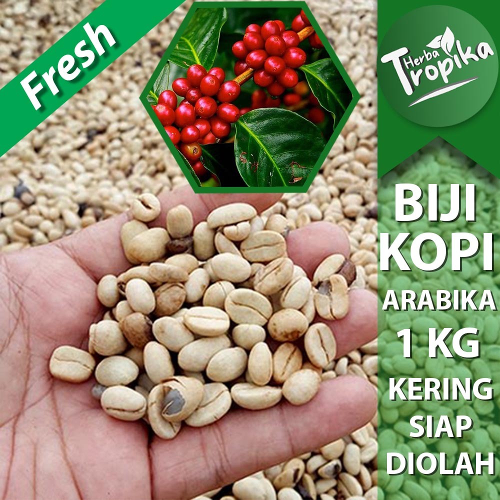 

Buah Biji Kopi Arabika Kering Siap Konsumsi toko herba tropika