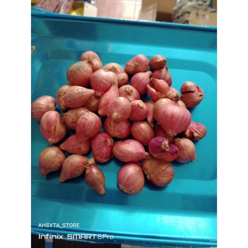 

AHSYTA STORE | BAWANG MERAH BRAMBANG UKURAN TANGGUNG/BESAR CAMPUR