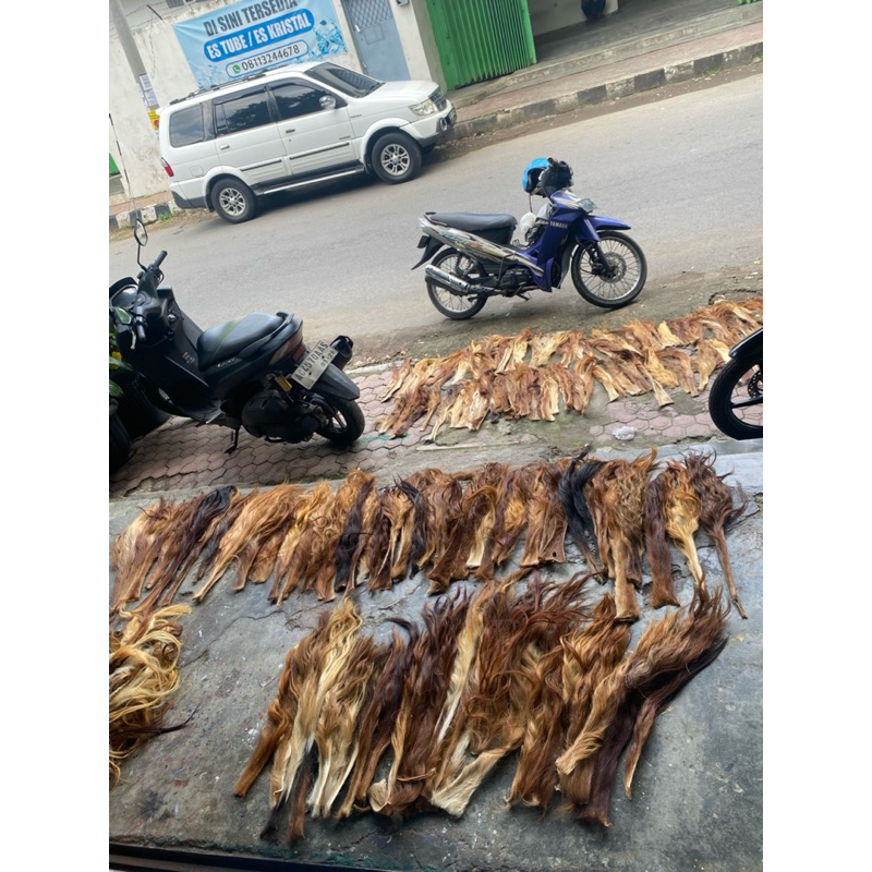 ekor sapi/ buntut sapi