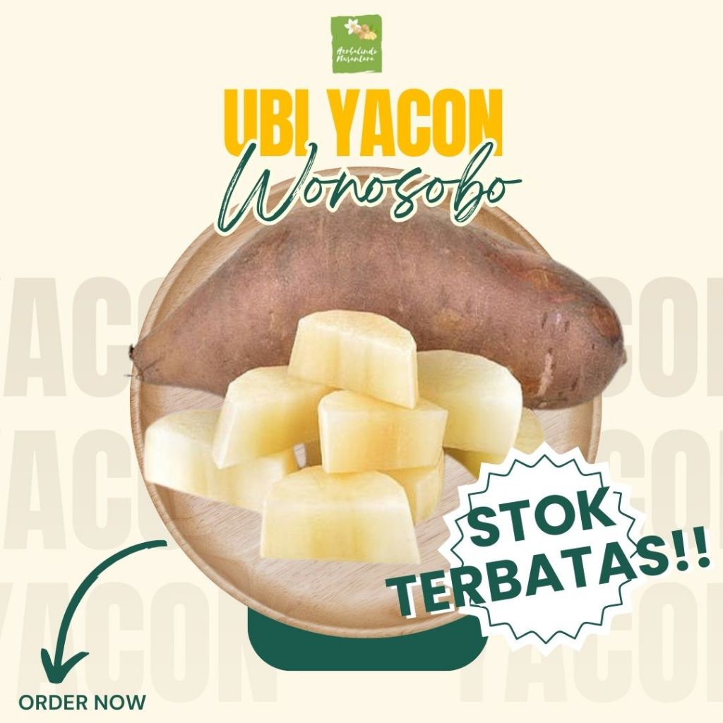 

UBI YAKON, UMBI YAKON,UBI YACON ASLI WONOSOBO FRESH (STOCK TERBATAS!)
