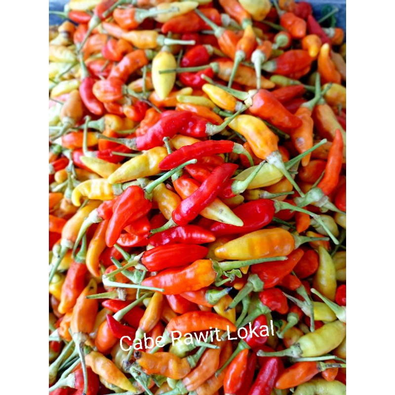 

cabe rawit merah 250gram