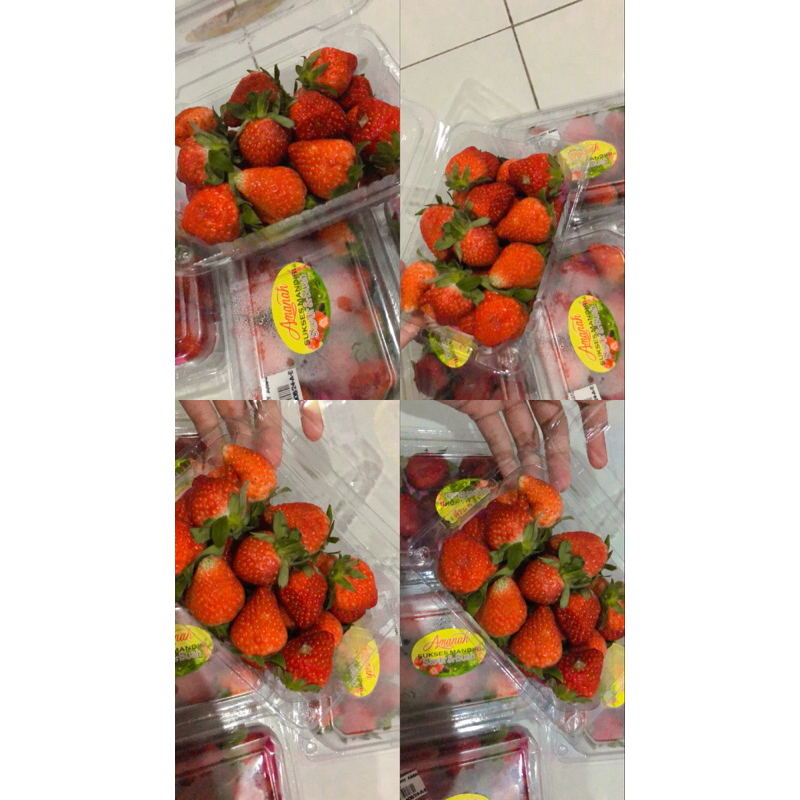 

STRAWBERRY LOKAL 250gr
