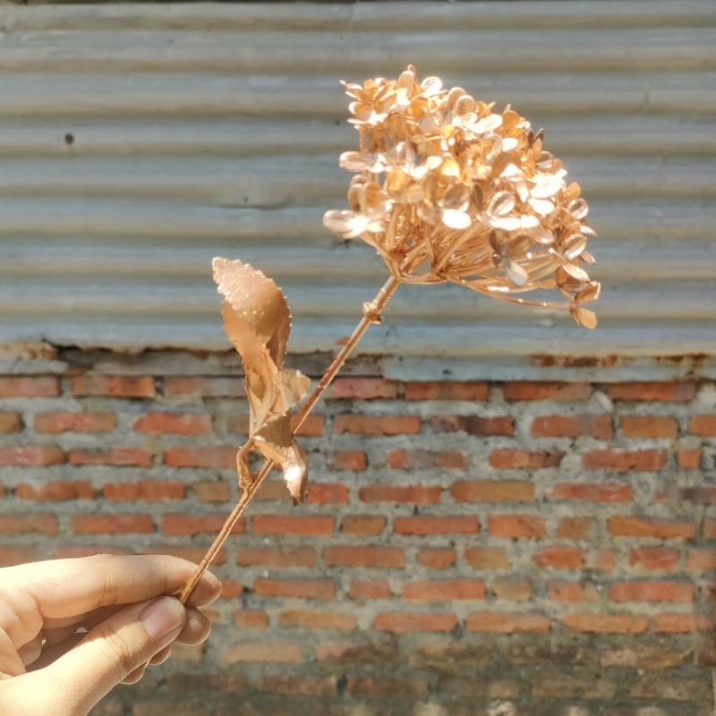 daun emas bunga emas  snowball emas 1 tangkai