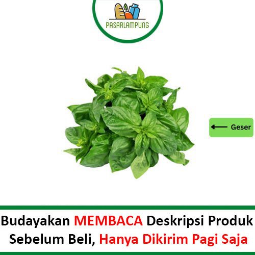

Daun Kemangi Segar Per Ikat Pasar Lampung