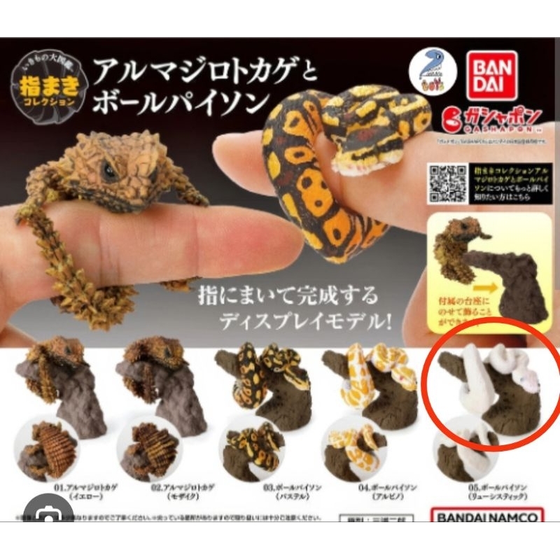 Gashapon capsule bandai namco finger roll ball phyton leucistic