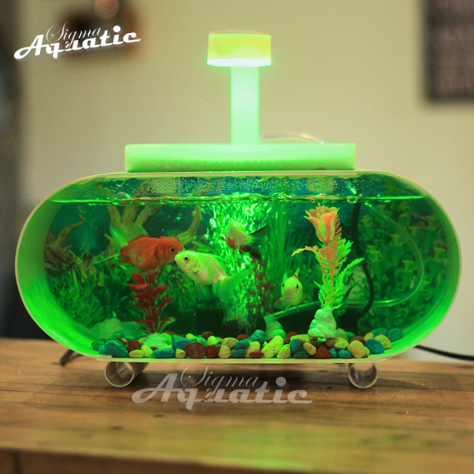 [COD] 1 SET AQUARIUM MINI PVC PLUS POMPA AERATOR DAN LAMPU LED AKUARIUM CUPANG GUPPY DEKORASI AQUARI