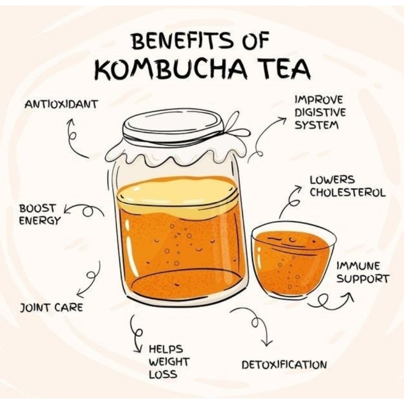 

Scoby Kombucha Jamur Original 1pc