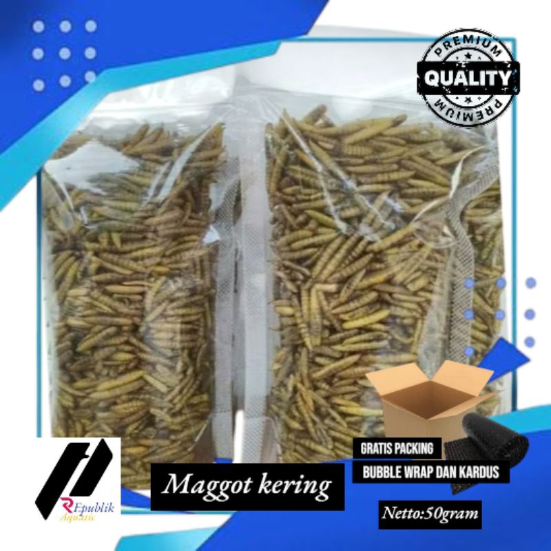 Manggot kering / maggot kering / pakan ikan / pakan ikan predator / koi / pakan ikan koi