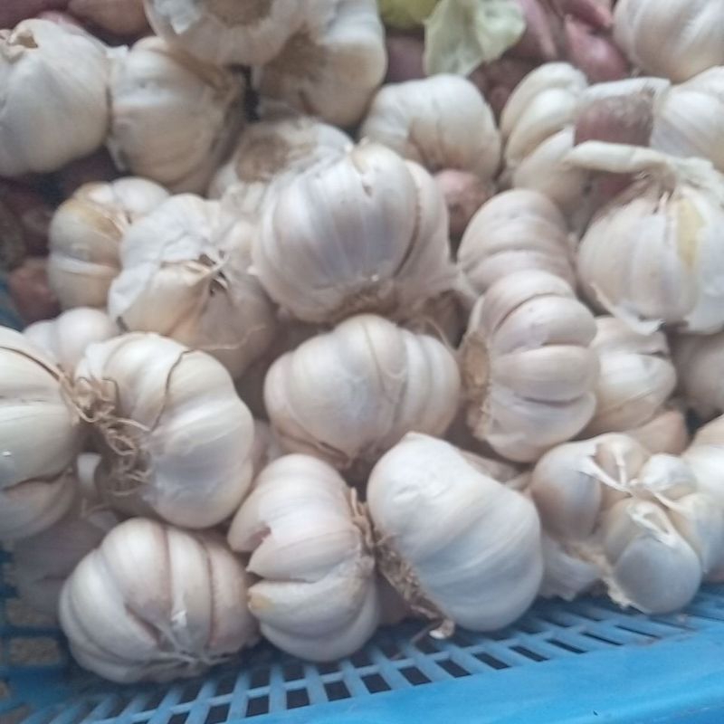 

bawang putih ½kg