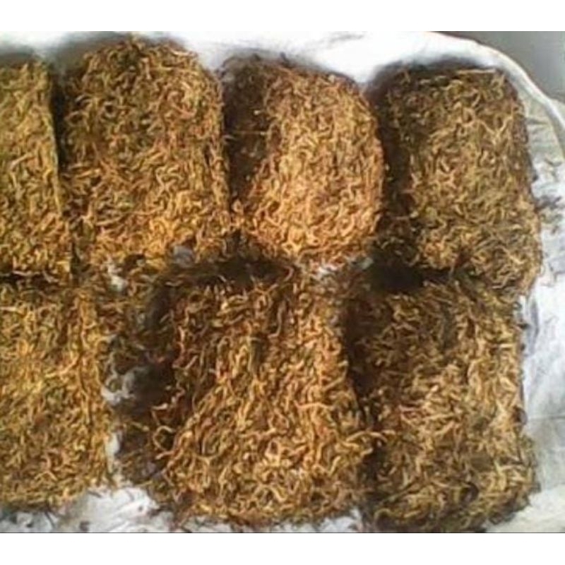 

Tembakou jawa kering