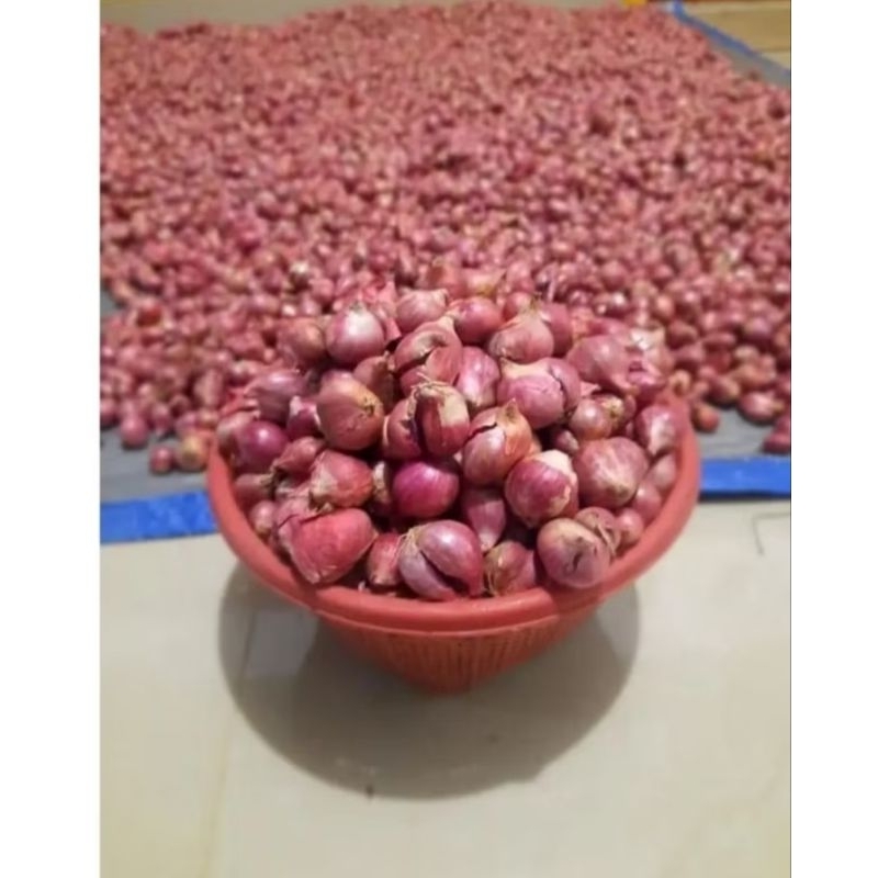 

BAWANG MERAH NGANJUK MURAH 1KG/ BAMER / BRAMBANG