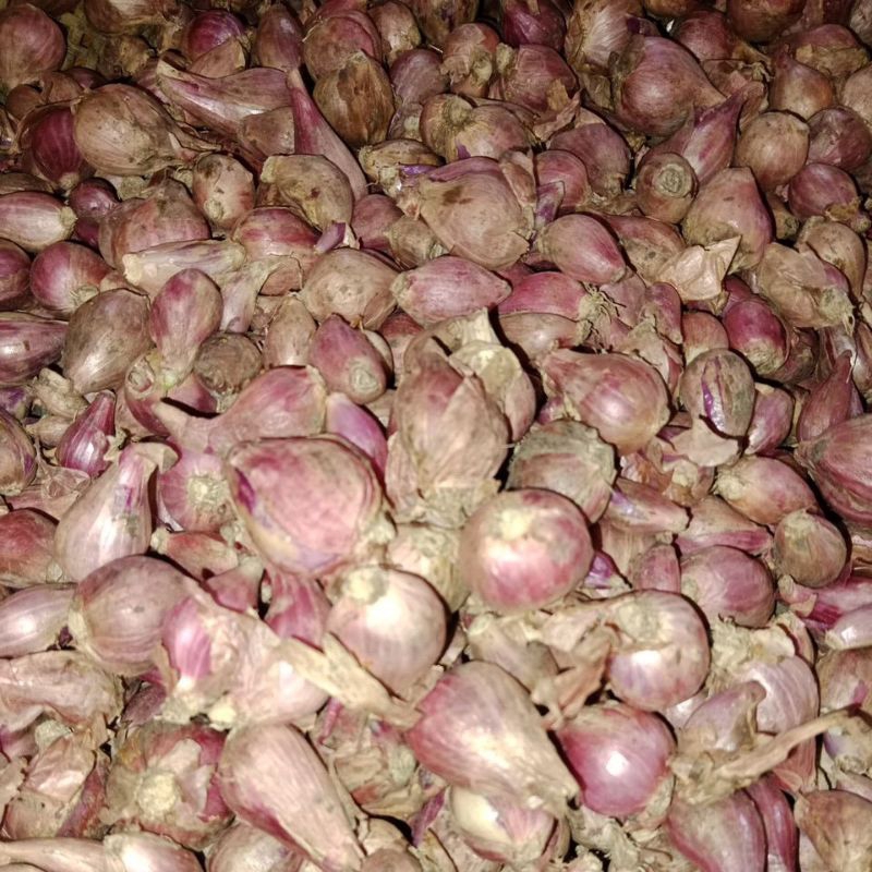 

Bawang