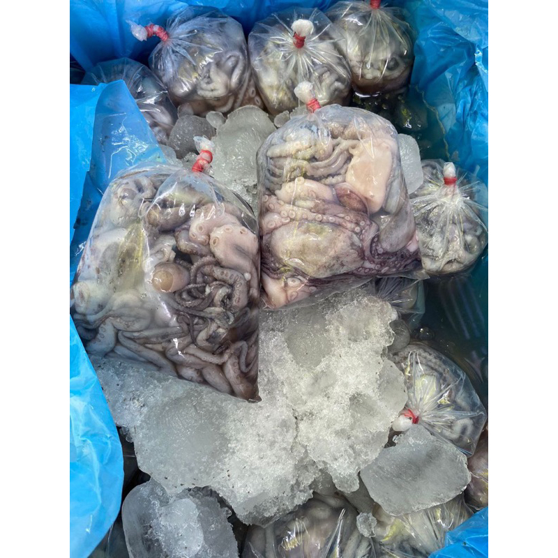 

LAUK PAUK SEAFOOD BERAT 1 KG 110 RIBU FREE PANCAKE MINI