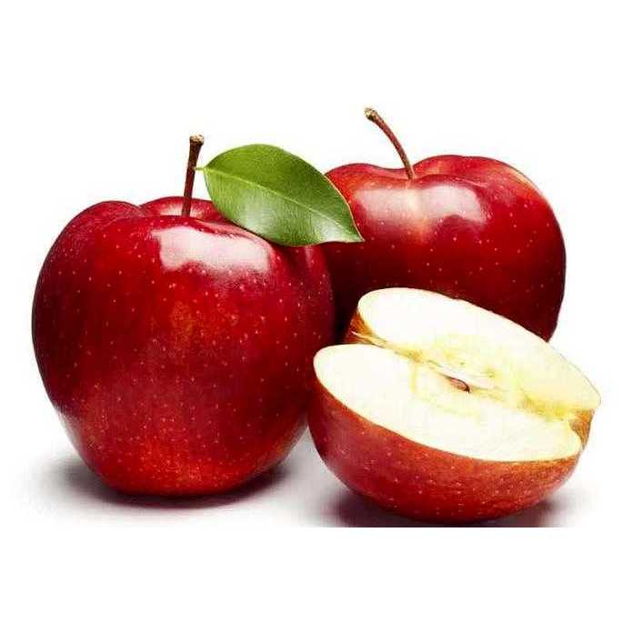 Tanaman Apel Manalagi Anna Berbunga/Berbuah