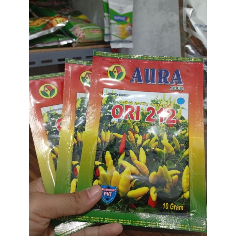 BENIH CABAI ORI 212 - AURA SEED