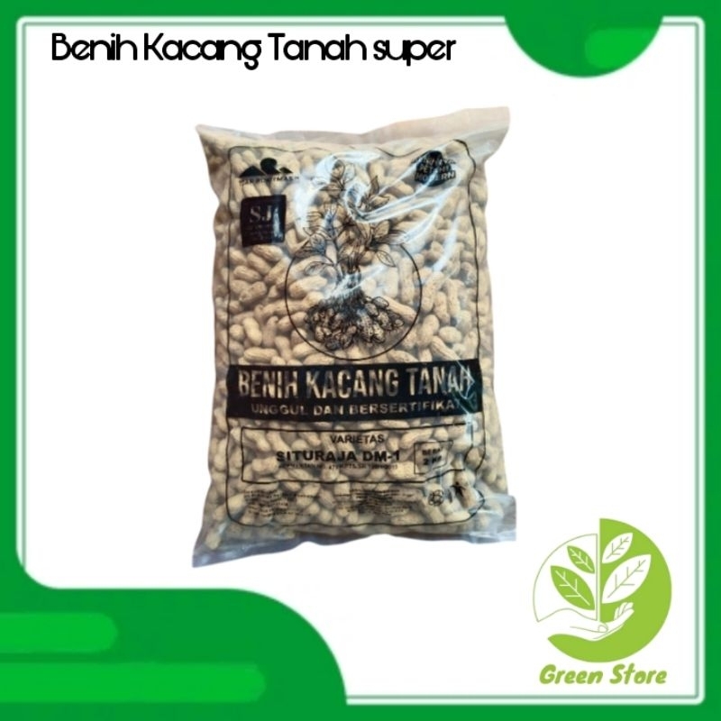 Benih kacang tanah 1 kg super varietas gajah/bibit kacang tanah gajah