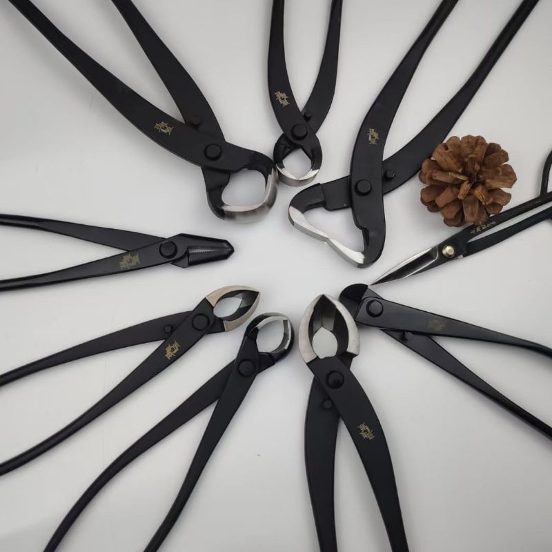 ALAT BONSAI LENGKAP CATOK, GUNTING MAXWAN CARBON