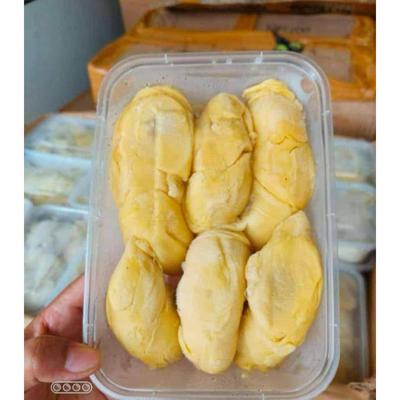 

FROZEN DURIAN KUPAS MEDAN 500GR