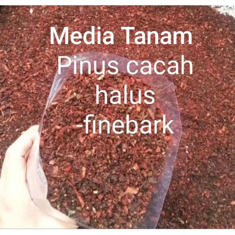 Media Tanam Kulit Pinus Halus, Serbuk Kulit Pinus, Media Tanam Anggrek, Alas Reptil