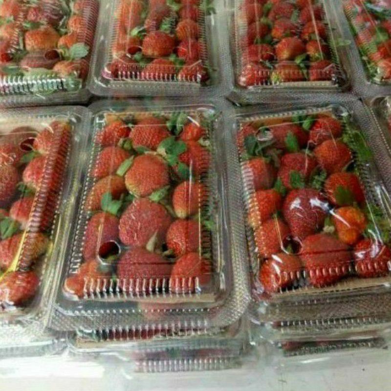 

BUAH STRAWBERRY ORGANIK BANDUNG MERAH perpax