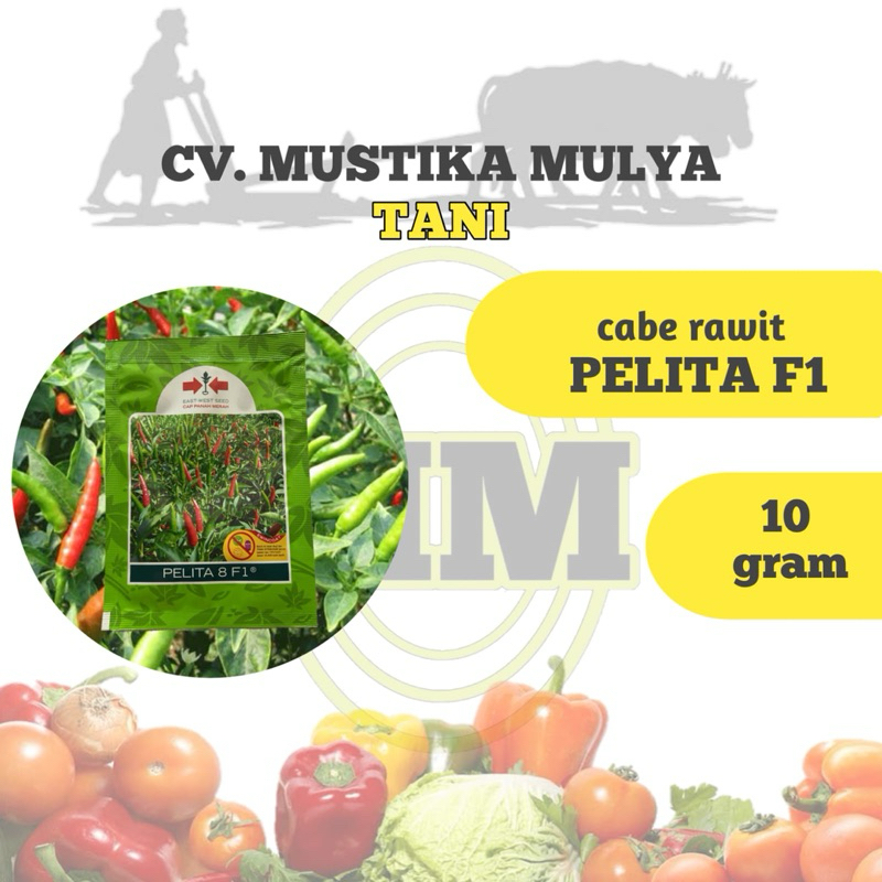 BENIH CABE RAWIT ( PELITA F1 ) CAP PANAH MERAH