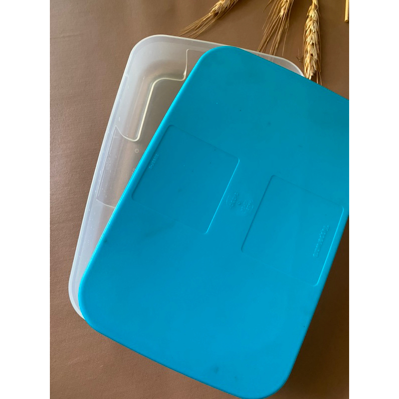 Freezermate Tupperware 650 ml