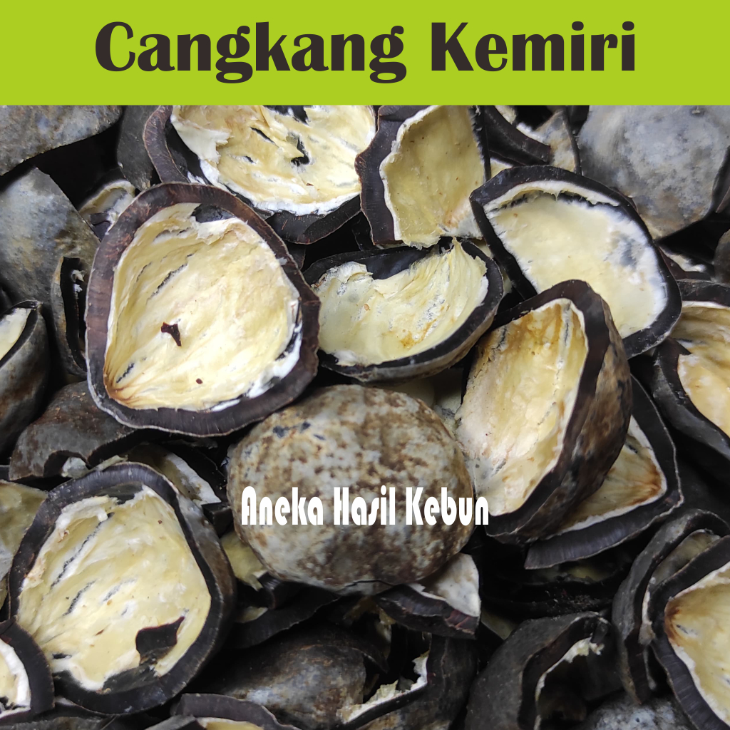 

Batok Kulit Cangkang Kemiri Asli
