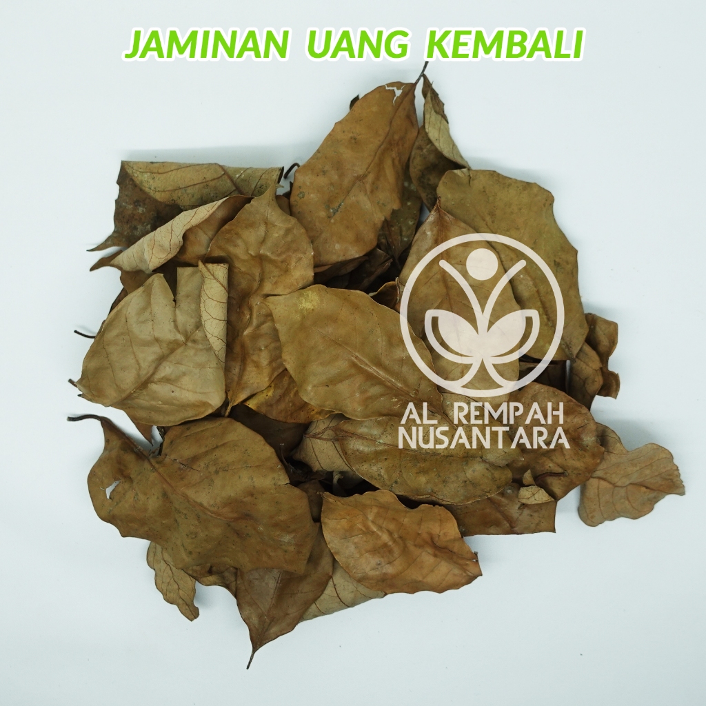 

Daun Pala Kering 500gr Kualitas Super Bersih dan Organik