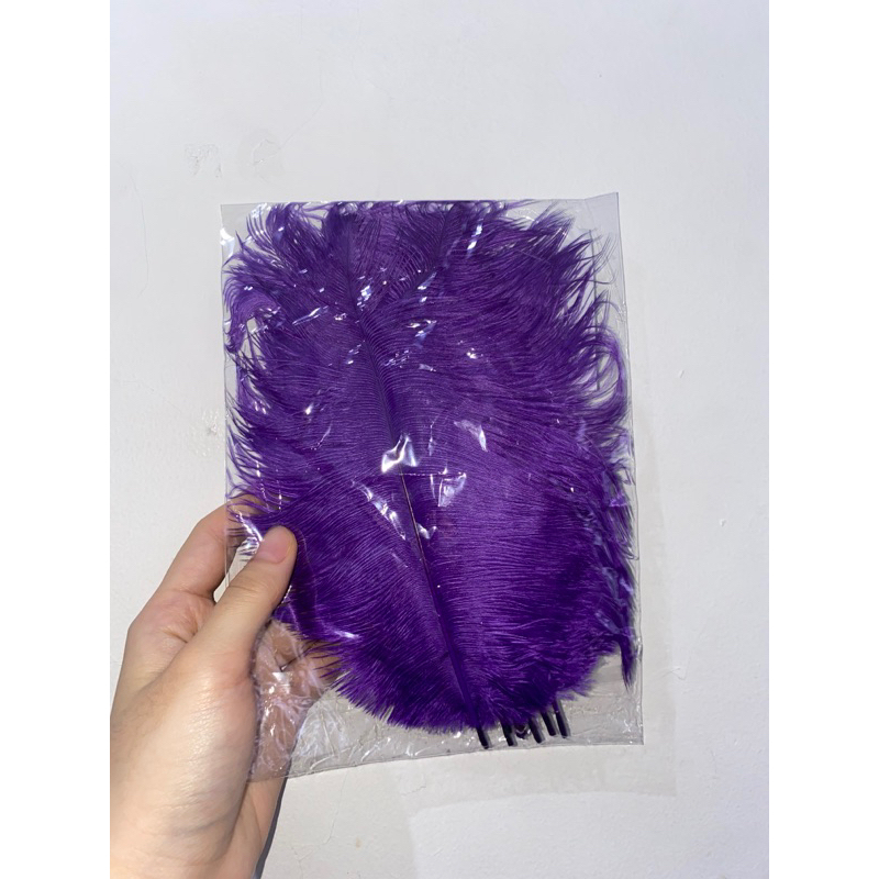 Replika Super Bulu Ostrich feather 20-25 cm DIY MAINAN KUCING