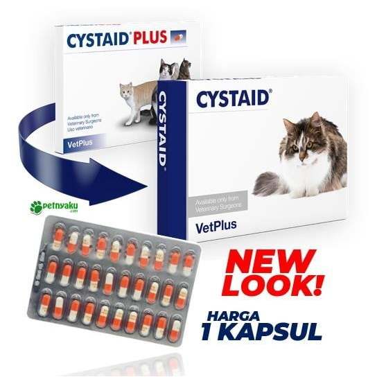 Cystaid Plus (1 tablet)