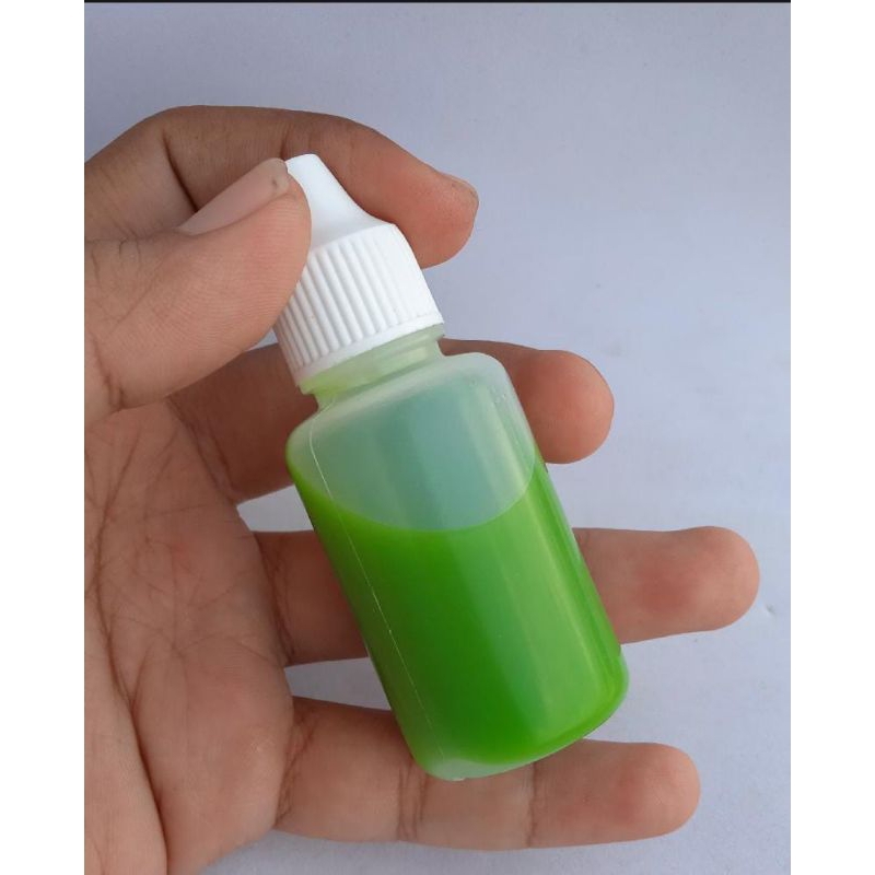 JM Essen Walang Melon - Esen Gacor Taget Ikan Mas Rame Dan Induk