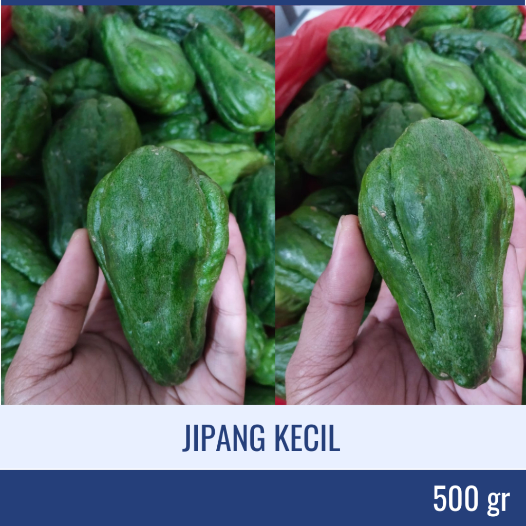 

Jipang Kecil | Jipang Muda | Jipang baby | Labu Siam