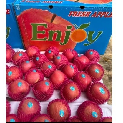 

Buah Apel Fuji Enjoy Premium 100 Jual Per 1 Dus Karton