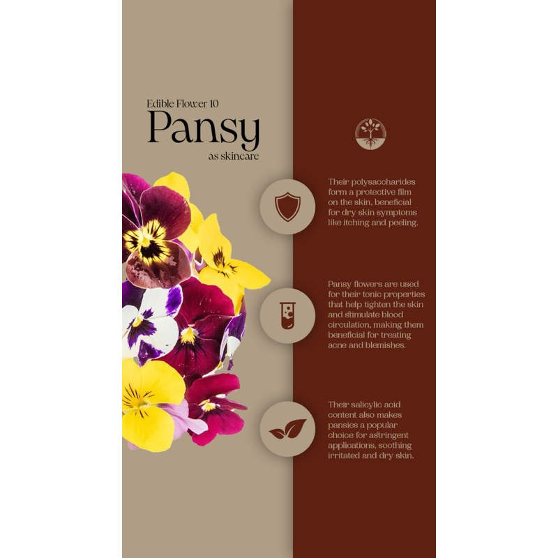 

Edible Flower Pansy FRESH Akar Wangi | Garnish Makanan | Garnish Minuman | Bunga Bisa Dimakan