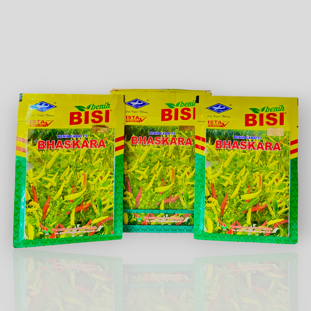 Benih cabe rawit putih hibrida BHASKARA F1 10 gram cabai baskara f1 10gr dari bisi chia tai