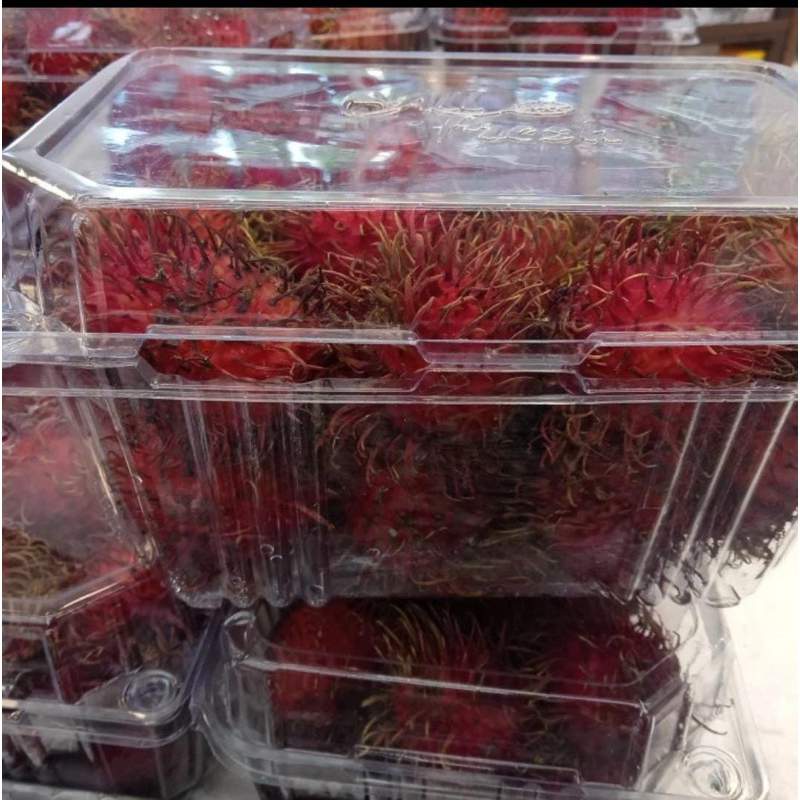 

RAMBUTAN BINJAI ASLI MANIS NGELOTOK! 30rb per kg